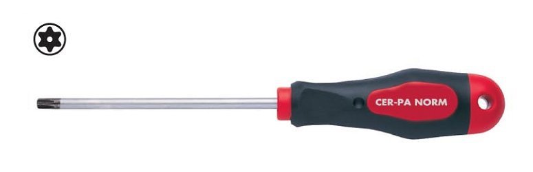 TORX TORNAVIDA DELIKLI PROSOFT T 10 X 80 MM
